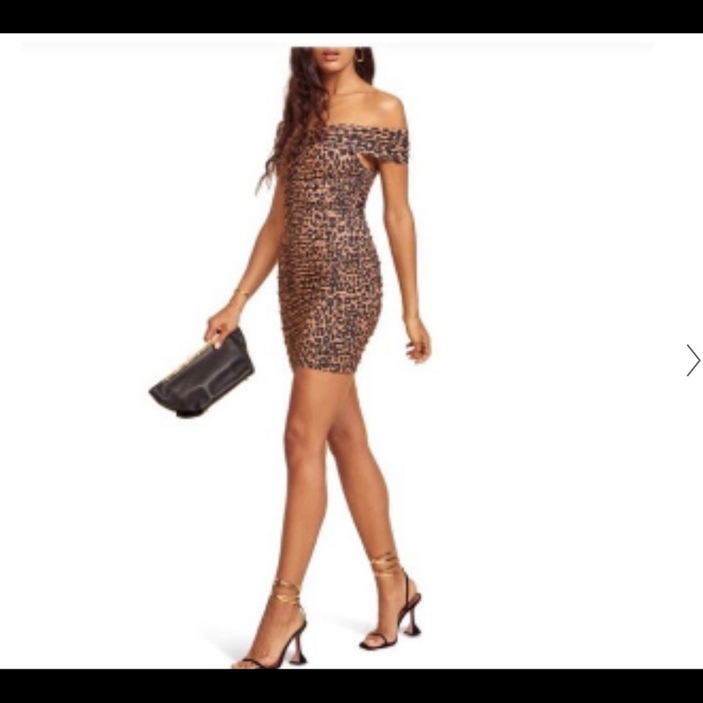 NWT Reformation Sabine Dress Cougar